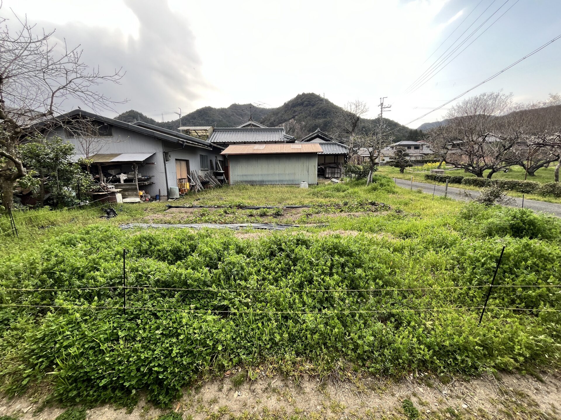 現場調査：西脇市OS様邸